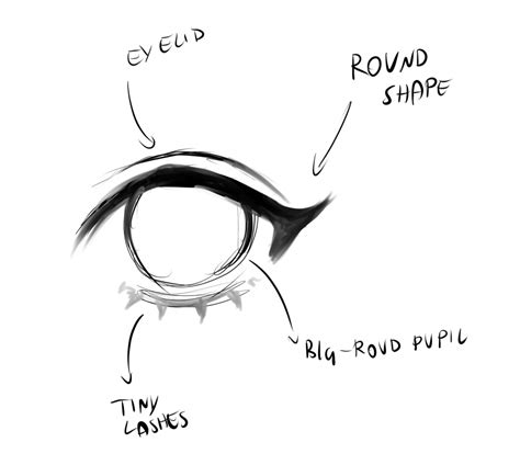 Drawing an eye involves understanding its shape, structure, and the interplay of light and shadow on the surface. In this article, we will guide you step by step to help you improve your eye reference drawing skills as a beginner. Supplies you’ll need. Before starting your eye reference drawing, you will need to have the following supplies ready: 